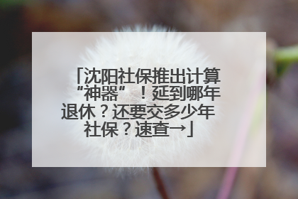 沈阳社保推出计算“神器”！延到哪年退休？还要交多少年社保？速查→